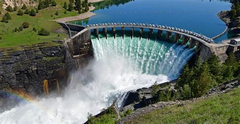 learn dam    point jr