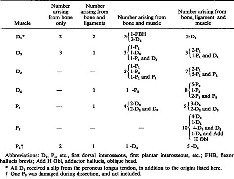 Table From The Origins And Function Of The Interosseous Muscles Of