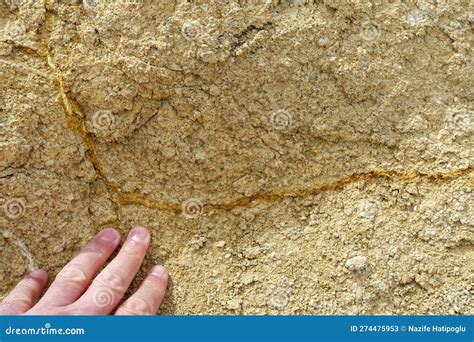 Soil Types Yellow Soil Type Sandy And Hard Rock Yellow Soil Soil