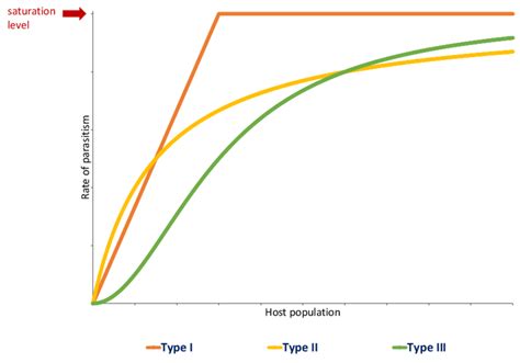 Type I Ii And Iii Functional Response Curves These Curves