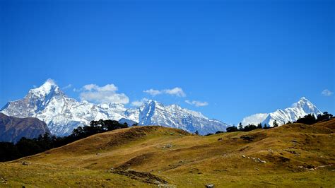 In the lap of Himalayas at Bedini Bugyal - Uttarakhand Photos