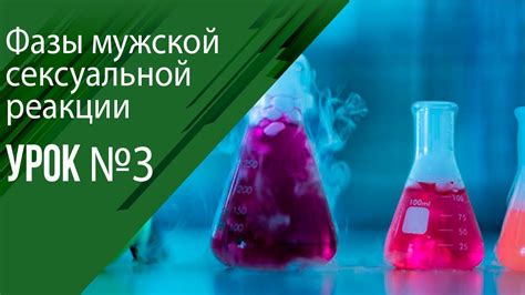 Урок 3 - Фазы мужской сексуальной реакции - YouTube