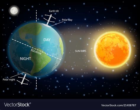 Day and night cycle diagram vector image on VectorStock | Earth day and ...