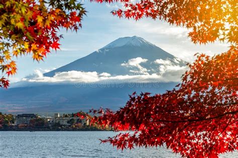 mount fuji  lake kawaguchi  autumn foliage japan stock image