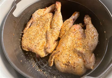 Air Fryer Cornish Hens Ninja Foodi Air Fryer Fanatics