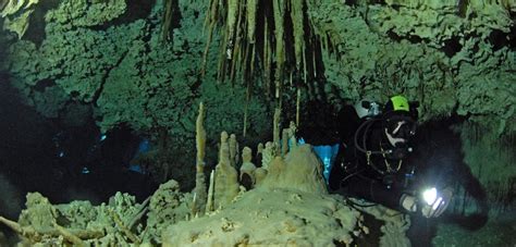 Cenotes Near Playa Del Carmen Cave Diving In Riviera Maya Guided