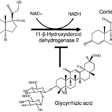 Glycyrrhizin mechanism. | Download Scientific Diagram