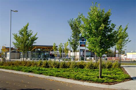 Lewis Farms Bus Station Park Landscaping Ltd