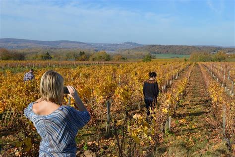 Exclusive Wine Tour In Sancerre And Pouilly Fumé From Paris