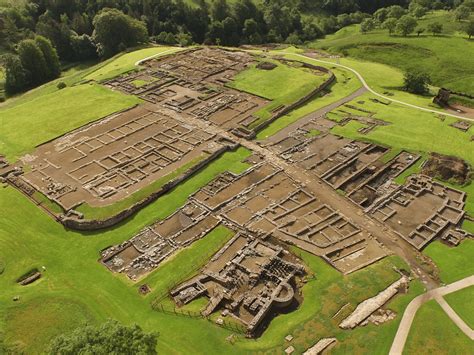 It Looks Like A Dick Archaeologists Uncover Year Old Wooden Dildo Man Of Many