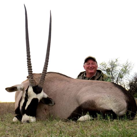 Gemsbok — Texas Divide Ranch