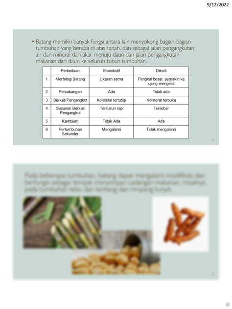 Solution Struktur Dan Fungsi Tumbuhan Studypool