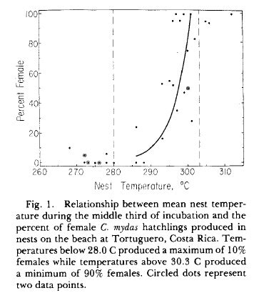Altered Sea Turtle Sex Ratios Can Global Warming Harm Warm Water