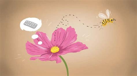 Things You Learned In Sex Ed That Arent Actually True