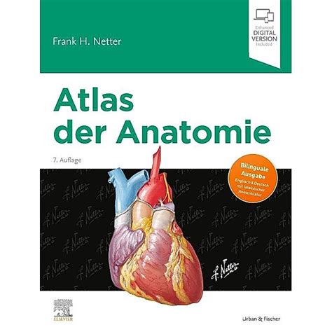 anatomie bilder  koleksi gambar