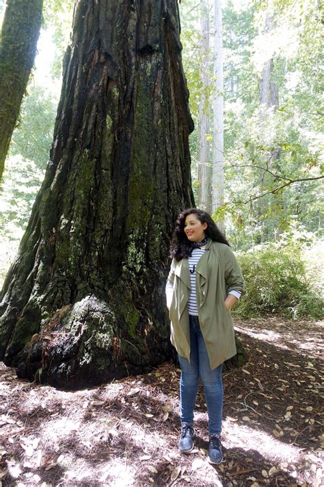 Big Basin Redwoods