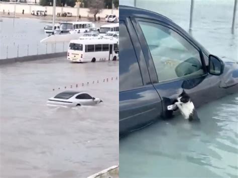 Dub I Bajo El Agua Tormenta Inunda Calles Y Aeropuerto Fotos