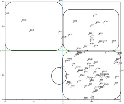 Distribution Of Genotypes On The Scatter Plot Generated As A Result Of