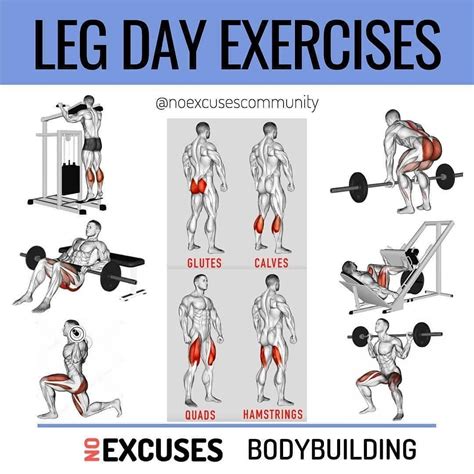 Printable Dumbbell Leg Workout