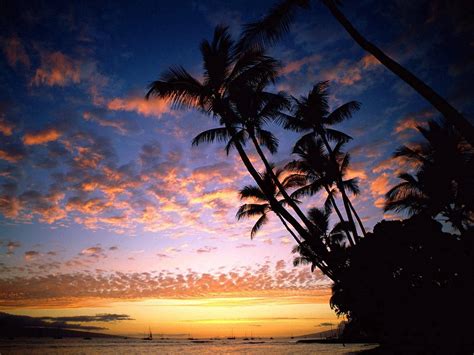 300 Hawaii Wallpapers