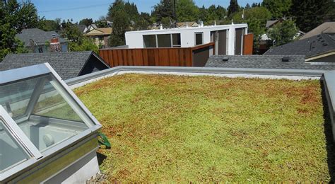 Se Portland Infill Rooftop Patio And Ecoroof Portland Oregon Green