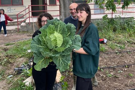 Corato Arte E Natura Il Progetto Dei Ragazzi Del Liceo Artistico