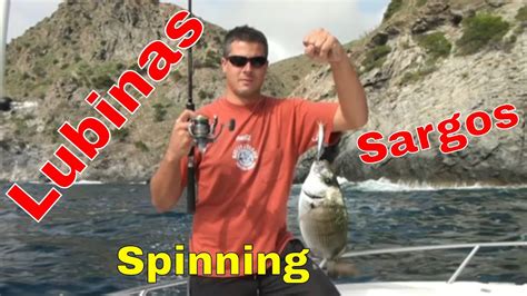 Pesca De Sargos Y Lubinas A Spinning En La Rompiente YouTube