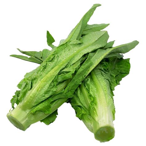 shop wholesale aa choy purveyd