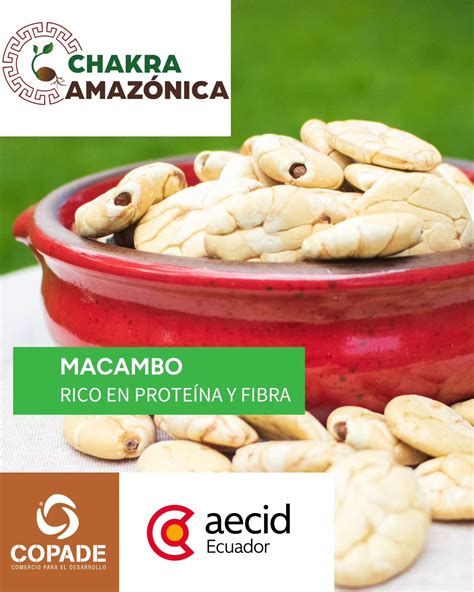 Fundación Copade Ecuador - ¡𝗗𝗶𝗮𝗹𝗼𝗴𝘂𝗲𝗺𝗼𝘀! Culminan 3 años de trabajo de