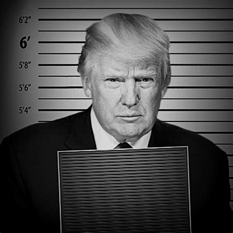 Trump Mugshot D B Template Blank Template Imgflip