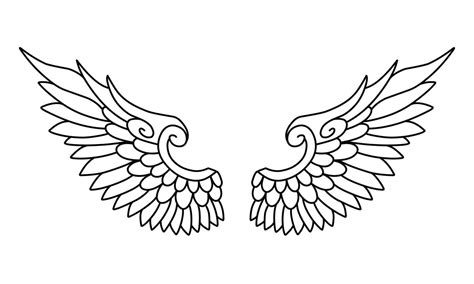 vector angel wings  art  outline  vector art