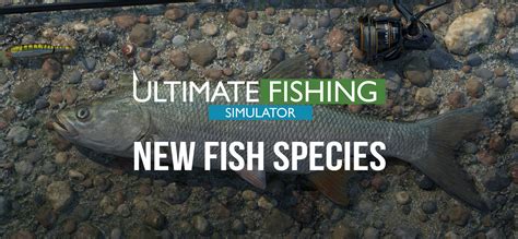 Ultimate Fishing Simulator New Fish Species Dlc Gog Database