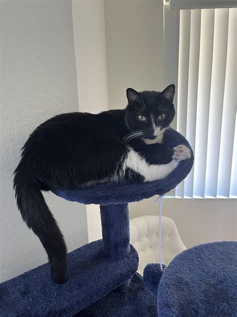 You might be missing out on these secret stanford benefits 6