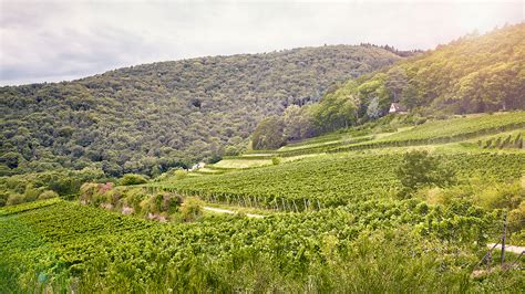 SANKT ANNABERG RIESLING 355 NN FEINHERB | Winedance