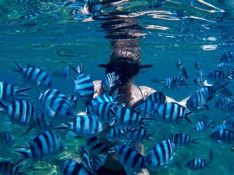 The Best Sailing Tour in Fiji: Coral Cats - Nadi Island, Fiji