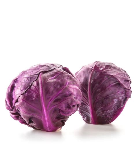 Purple Cabbage Riverside Greenhouses