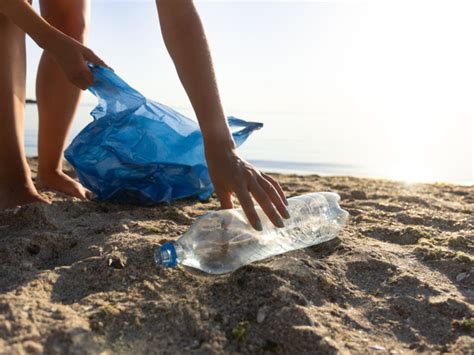 Test Reciclaje Sobre La Limpieza De Las Playas Limpieza De M Laga