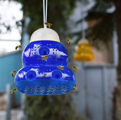 Buy Best Carpenter Bee Trap,carpenter Bee Traps Foroutside,carpenter ...