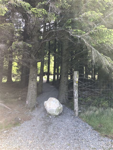 Climbing Djouce Mountain - Wild Irish Walks