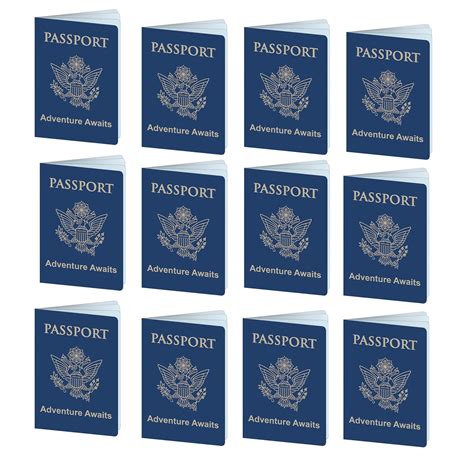 Amazon.com: Beistle 12 Piece Fake Passports for Around The World Travel