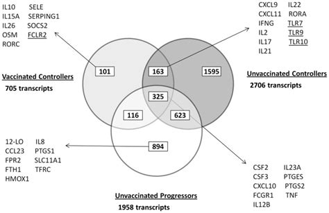 Microarray analysis was used to identify differentially expressed genes ...
