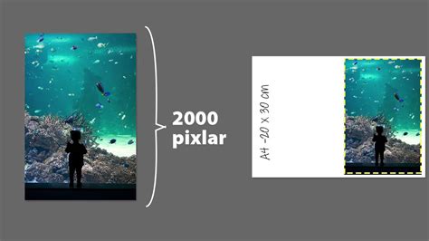 vad betyder hoegupploest youtube