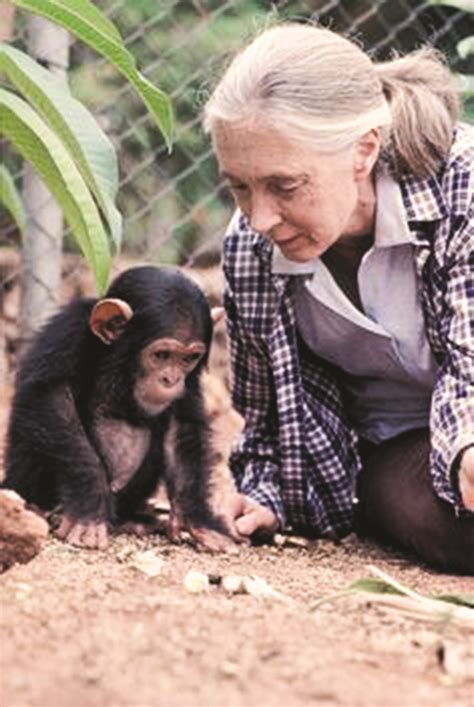 Mitzvot meets Jane Goodall at UMASS Dartmouth event | Jewish Rhode Island