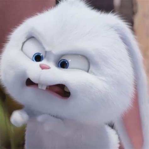 Snowball Rabbit Artofit