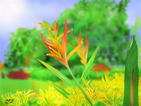 Parrot Heliconia Aubrey Illustrations Art Street