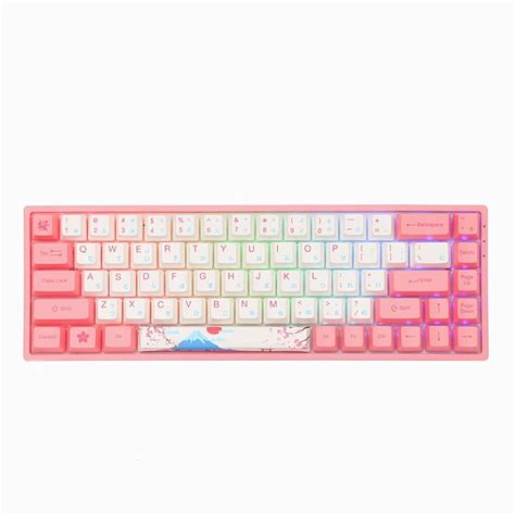 Buy EPOMAKER AKKO 3068B World Tour R2 65 Hot Swap Multi Mode Wireless Mechanical Keyboard With