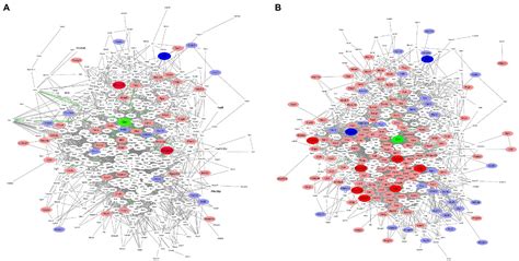 Frontiers Tandem Mass Tag Based Quantitative Proteomics Analysis