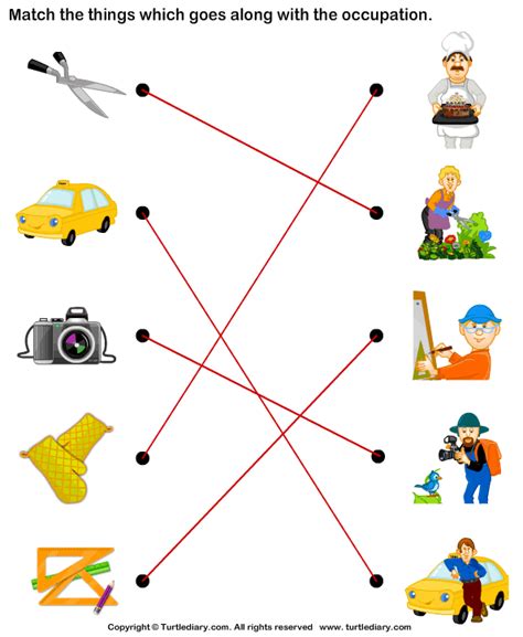 Identify The The Correct Occupation Turtle Diary Worksheet