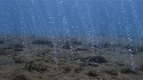 Volcanic Activity Underwater In Anilao Philippines