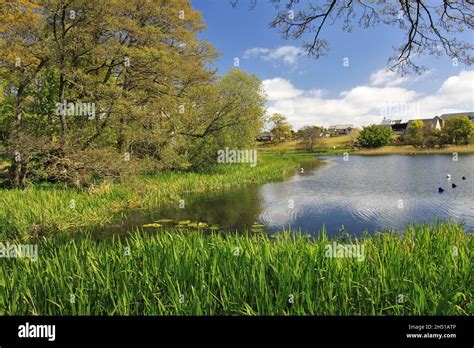 Castle Douglas Food Town Dumfries Hi Res Stock Photography And Images